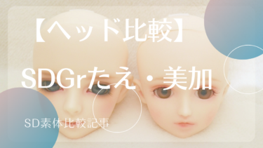 【SD素体】SDGrたえ・SD綾ヘッド比較